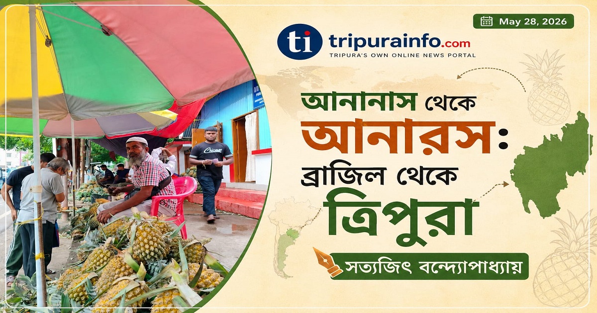 ত্রিপুরার একমাত্র পন্য যা বিশ্বজুড়ে প্রসিদ্ধ: আনানাস থেকে আনারস: ব্রাজিল থেকে ত্রিপুরা