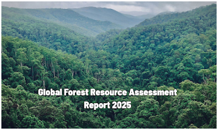 GFRA 2025 Highlights: India Secures 9th Position in Forest Cover and5th in Carbon Storage