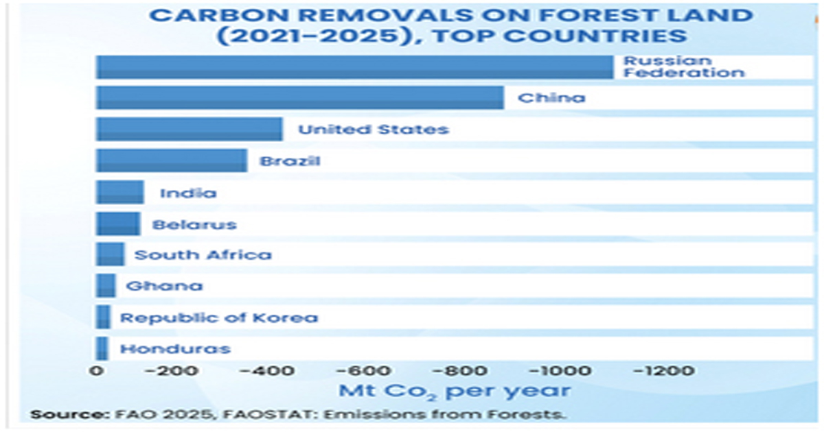 GFRA 2025 Highlights: India Secures 9th Position in Forest Cover and5th in Carbon Storage