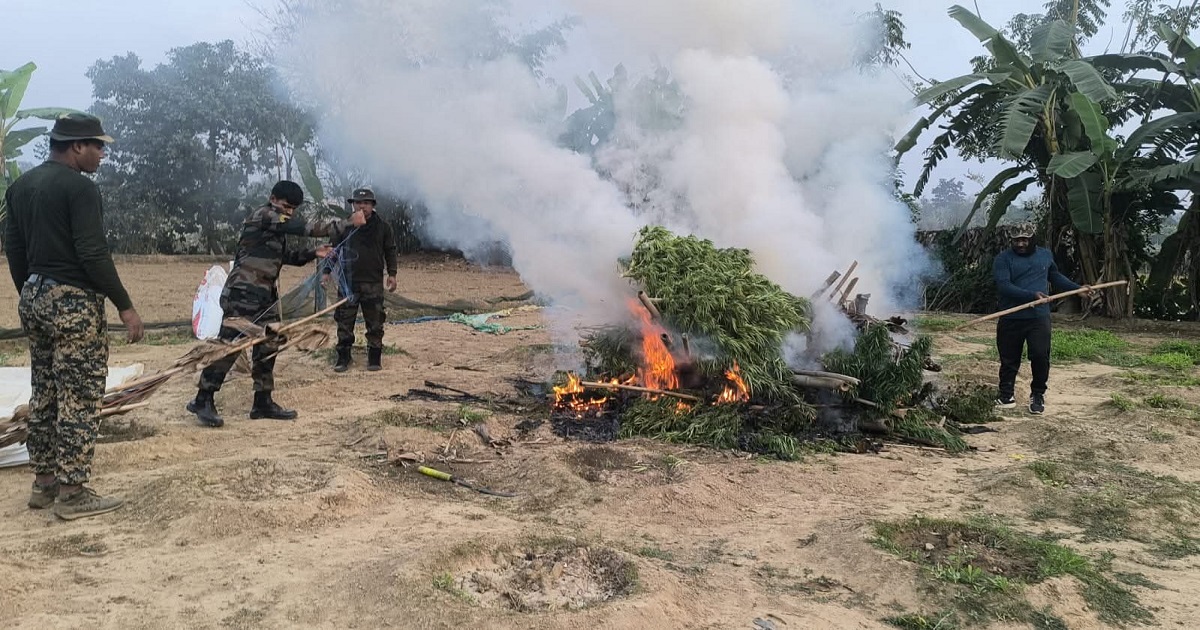 Tripura Under Drug Siege: Statewide Spread of Narcotics Sparks Political Debate as Police Intensify Crackdown