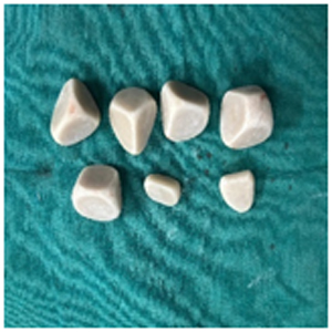 “A Second Chance at Life: Rare Bladder Stone Removed from Beloved Pet”