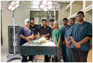 “A Second Chance at Life: Rare Bladder Stone Removed from Beloved Pet”