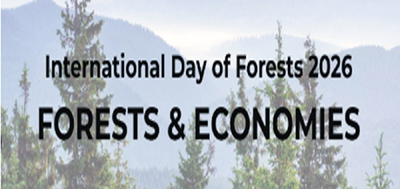 World Forest Day: The Importance and Empowerment of Forest Conservation