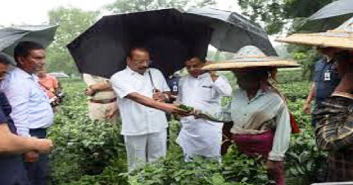 Governor satisfied with progress in tea industry modernisation