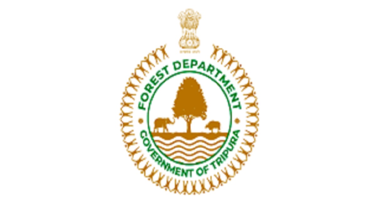 Undocumented timber seized from Majlishpur furniture shop, beat officer under scrutiny