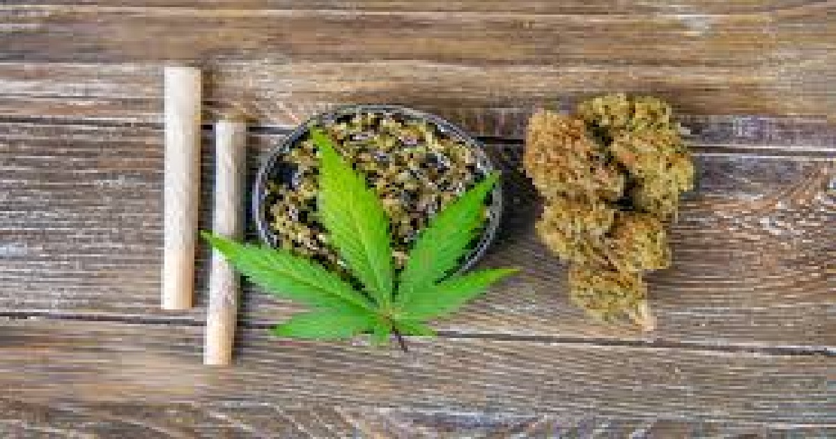 Huge ‘Ganja’ plantation destroyed by BSF in ADC village of Sonamura, more to follow