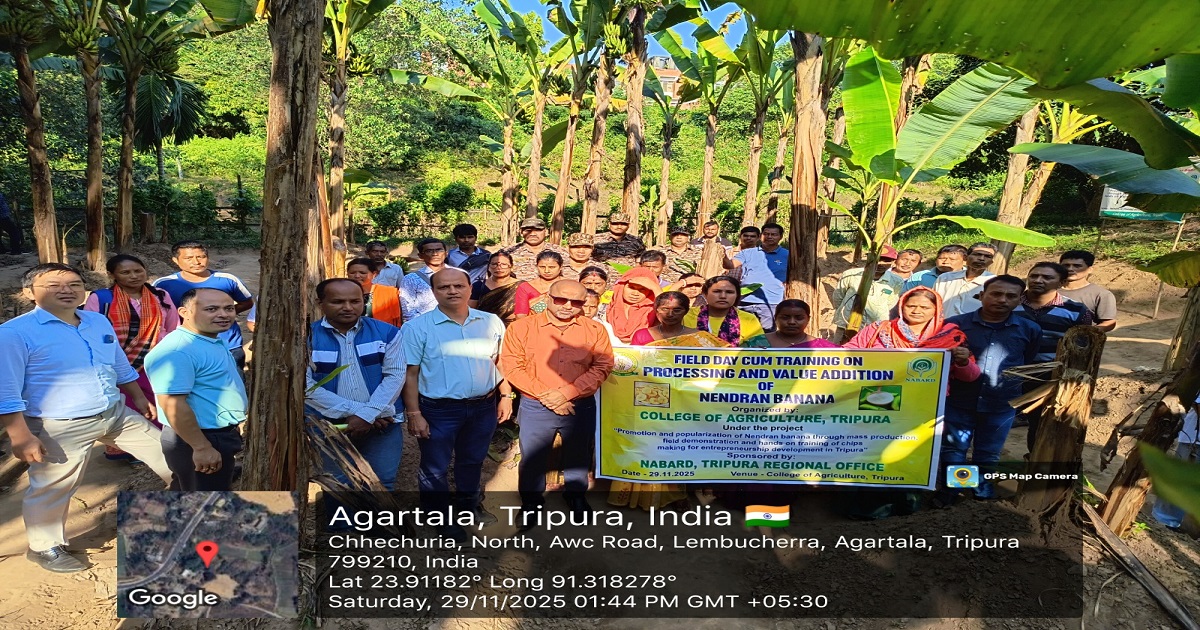 College of Agriculture, Tripura and NABARD Promote Nendran Banana for Rural Entrepreneurship