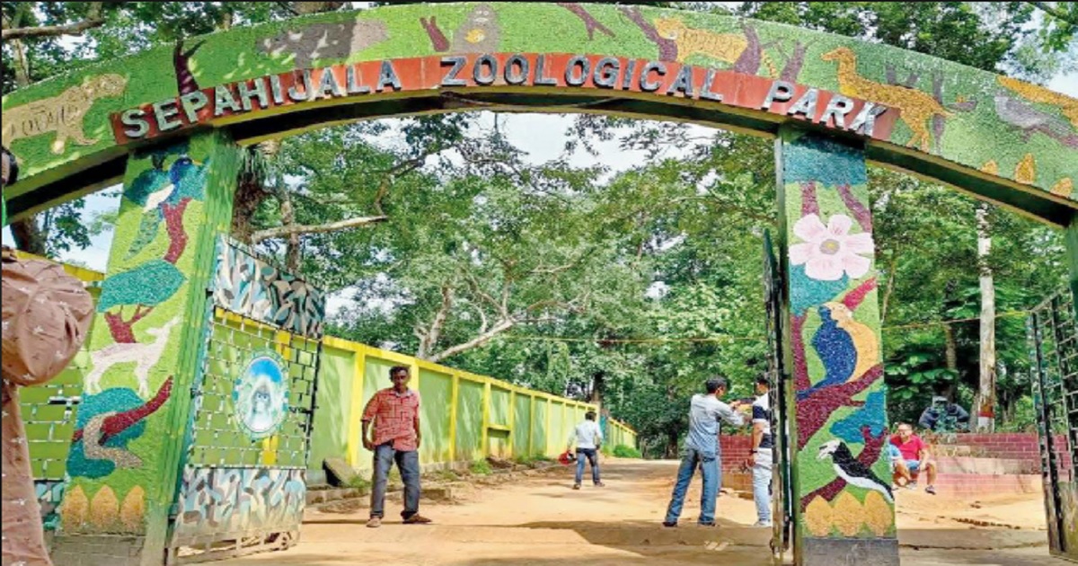 Allegations of Rampant Corruption Behind Repeated Animal Deaths at Tripura’s Sipahijala Zoo