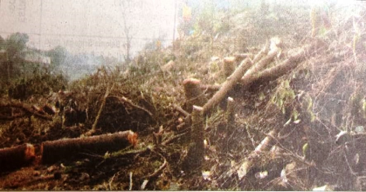 Massive Tree Felling Along Katakhal Embankment Sparks Environmental Outrage in Agartala Under Smart City Project