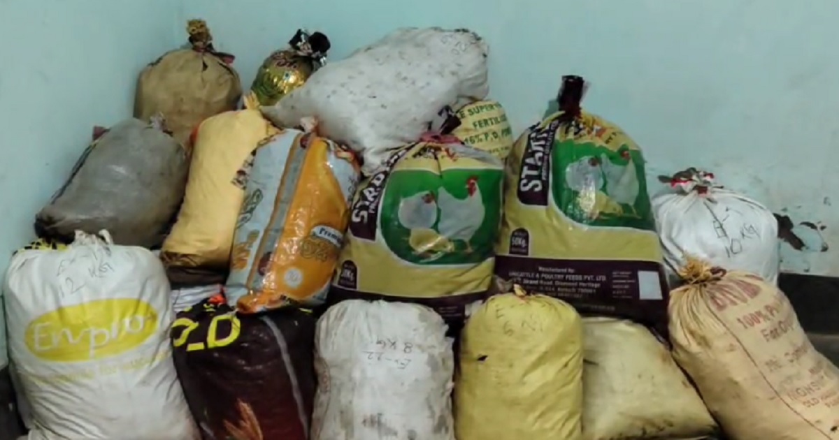 Major Anti-Drug Crackdowns in Tripura: Six Arrested with Cannabis at Sidhai Mohanpur, Five Lakh Ganja Plants Destroyed in Sonamura