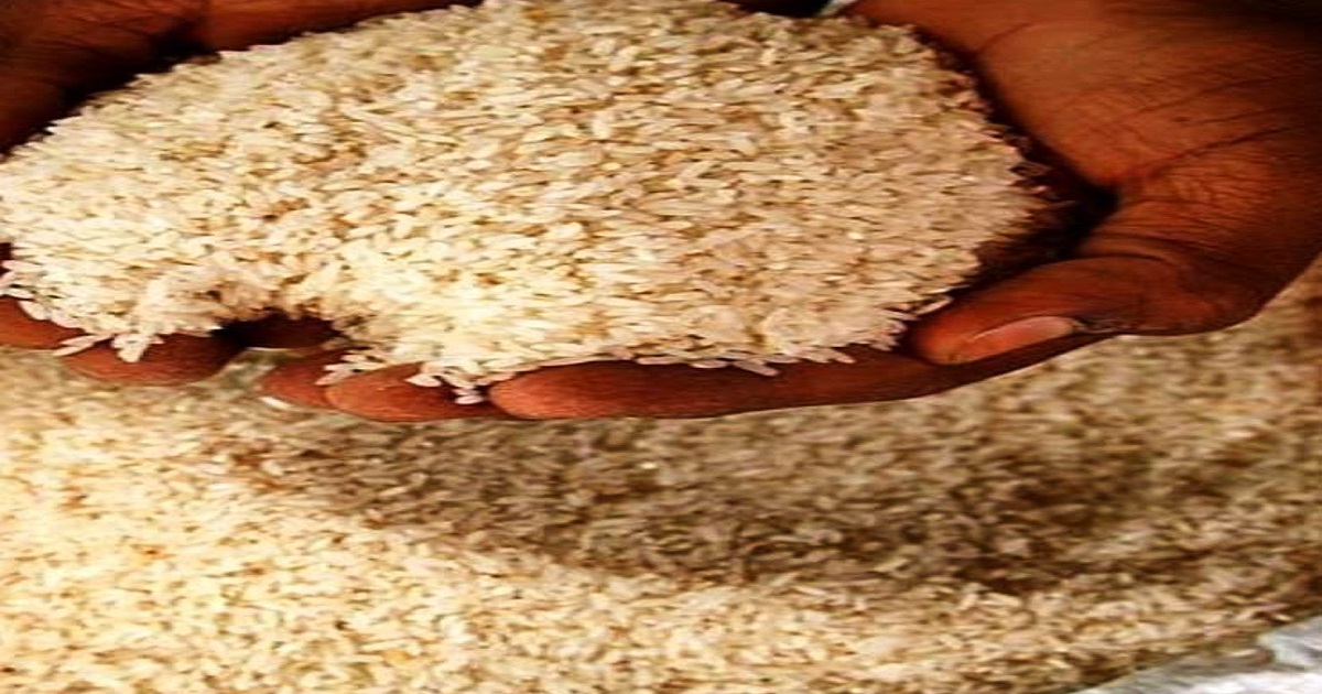 Sublime Gourmet to Flag Off First Major Consignment of Kali Khasa Rice from Tripura’s Kalajhari Hills to exported outside Tripura