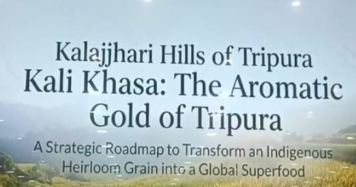 Kali Khasa Rice Flagged Off from Amarpur: Commitment to Procure More, Push for Global Market Expansion