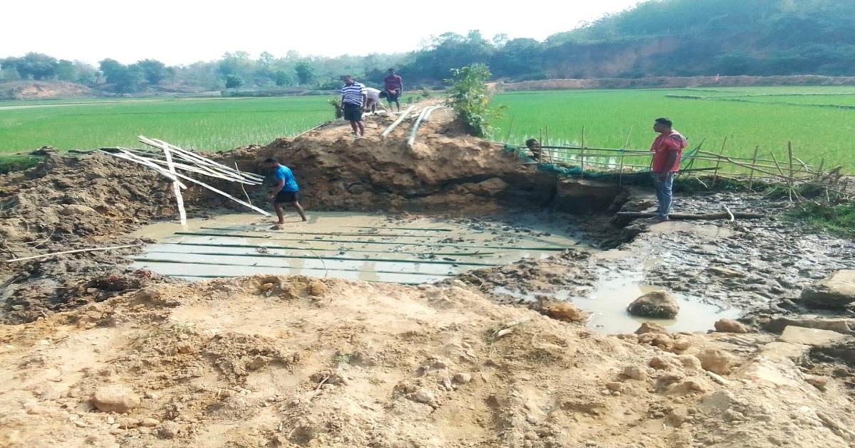 Bamboo Used Instead of Steel Rods in Culvert Construction : Youth Faces Death Threats After Exposing Alleged Corruption