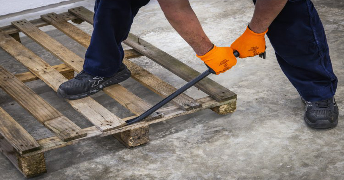 Patricide : Son cruelly murders octogenarian father after being asked for stolen ‘Bidis’