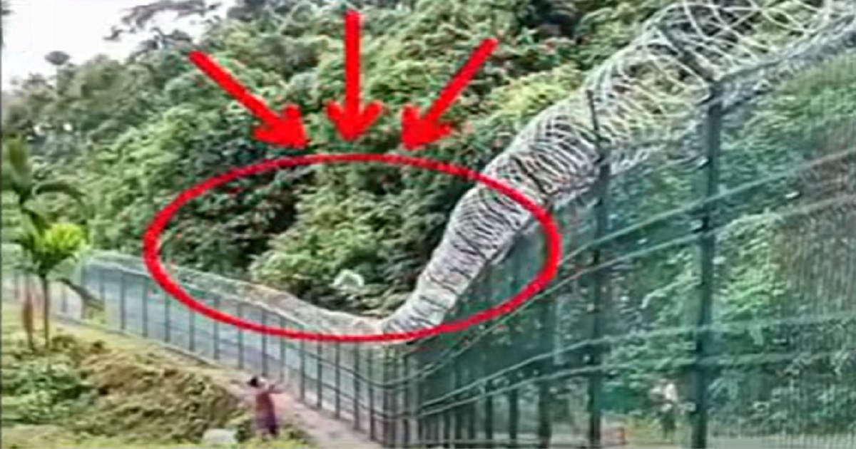 Alleged Cross-Border Smuggling Racket Using Flipkart Goods Uncovered in Bishalgarh