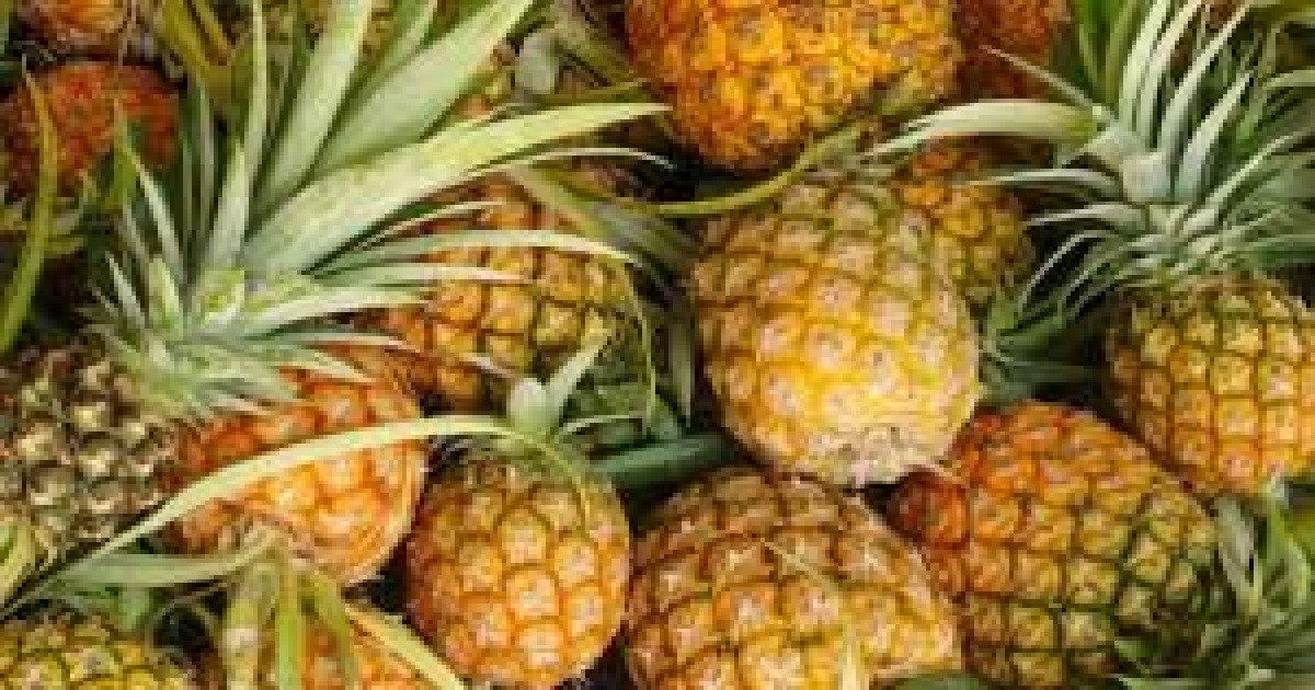 International pineapple exhibition in Delhi at state’s initiative in June