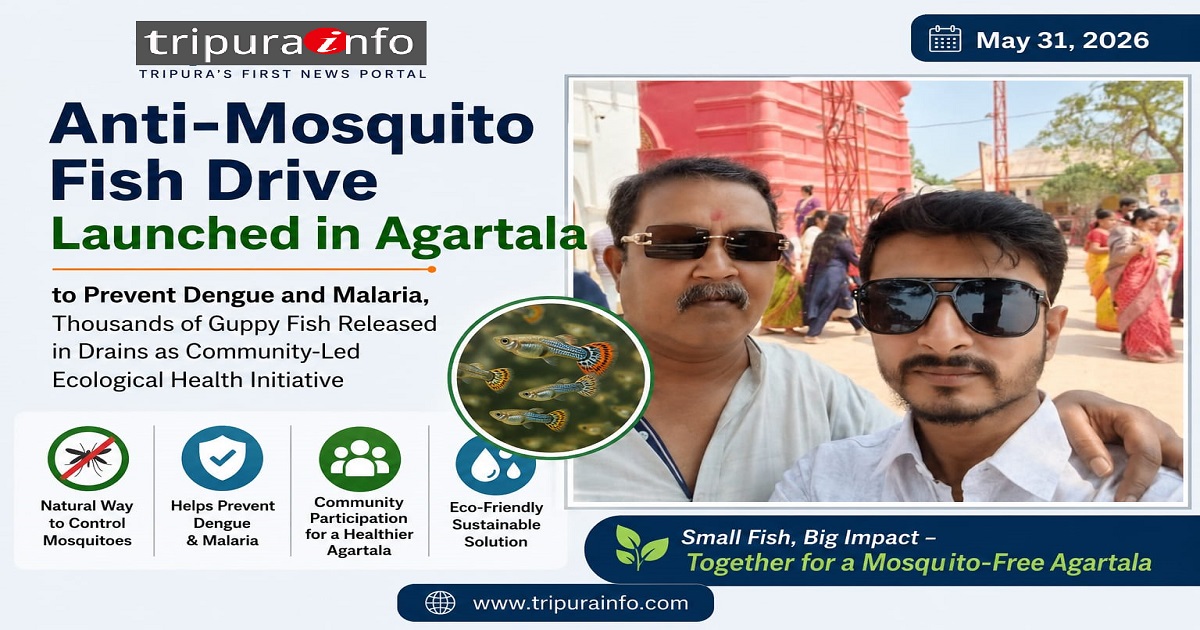 Anti-Mosquito Fish Drive Launched in Agartala to Prevent Dengue and Malaria, Thousands of Guppy Fish Released in Drains as Community-Led Ecological Health Initiative