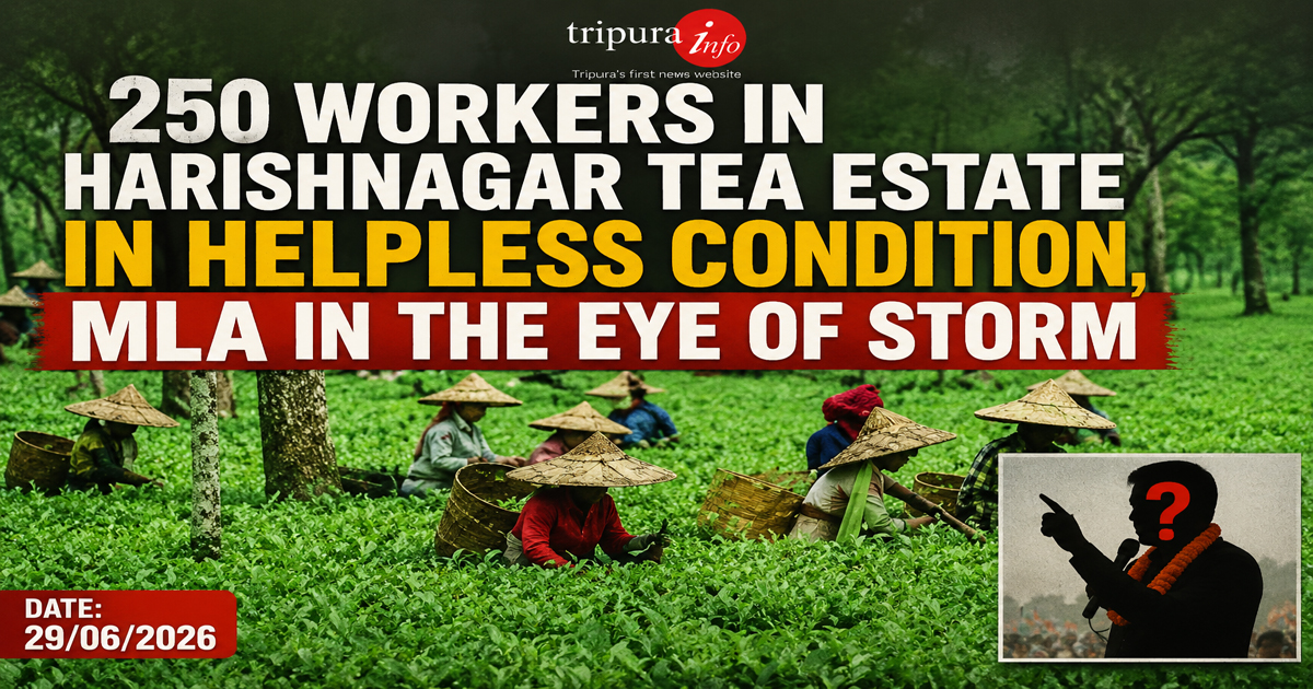 250 workers in Harishnagar tea estate in helpless condition, MLA in the eye of storm