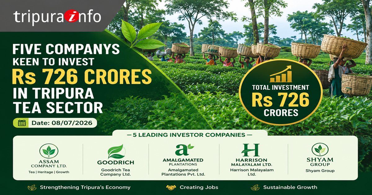 Five companys keen to invest Rs 726 crores in Tripura tea sector