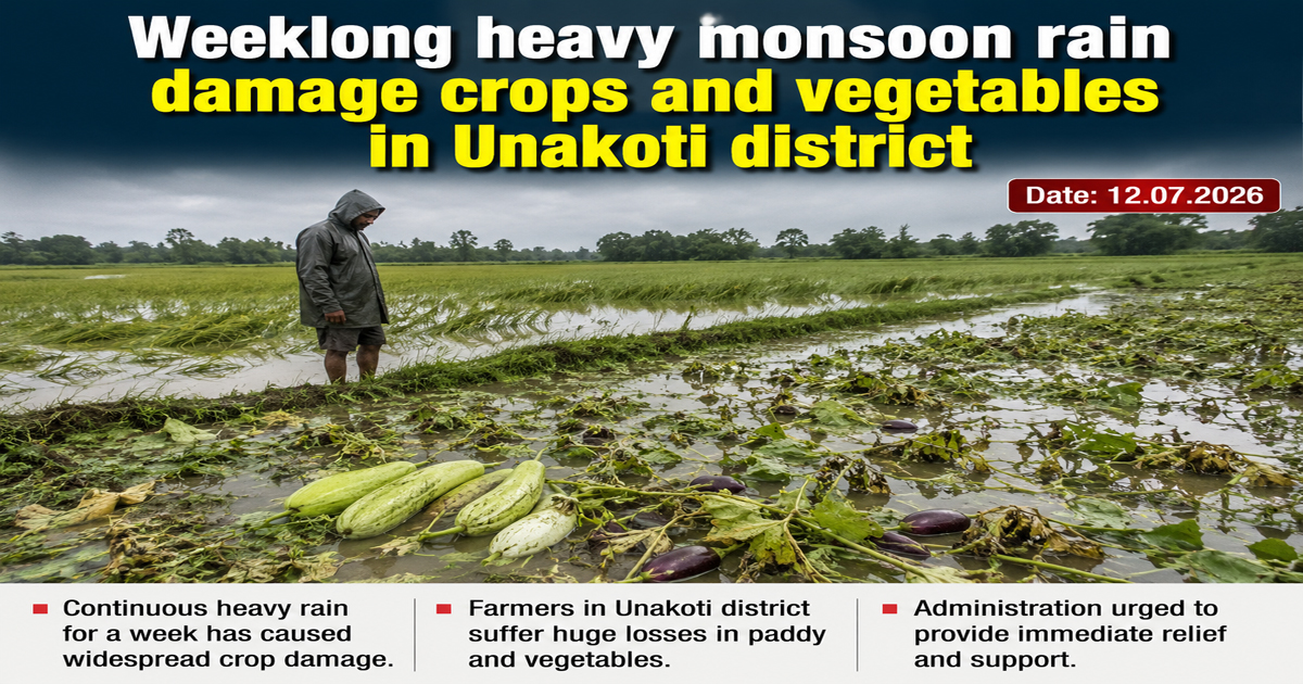 Weeklong heavy monsoon rain damage crops and vegetables in Unakoti district