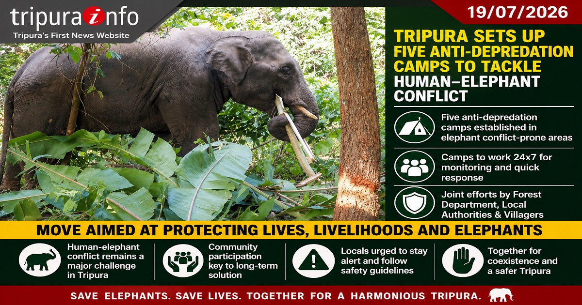 Tripura sets up five anti-depredation camps to tackle human-elephant conflict